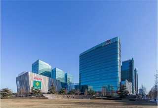 静安区办公室绿植花卉租赁资质