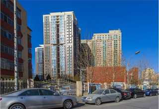 普陀区大型绿植花卉租赁设计